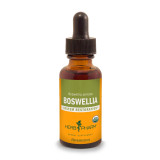 Boswellia extract by Herb Pharm - 1oz. 