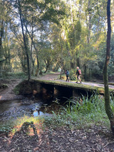 Gentle Armor Face Cream from Day & West