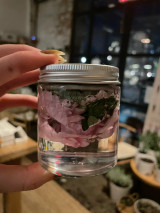 SPRING MEDICINE MAKING CIRCLE: A 6-Week Medicine Making Intensive