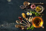 Introduction to Herbalism: Part 1 - Thursday, October 15th