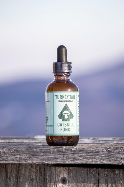 Turkey Tail Mushroom tincture by Catskill Fungi - 2oz.