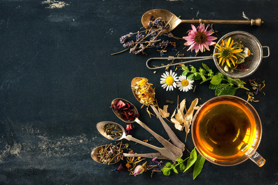 Introduction to Herbalism: Part 1 - Thursday, September 17th