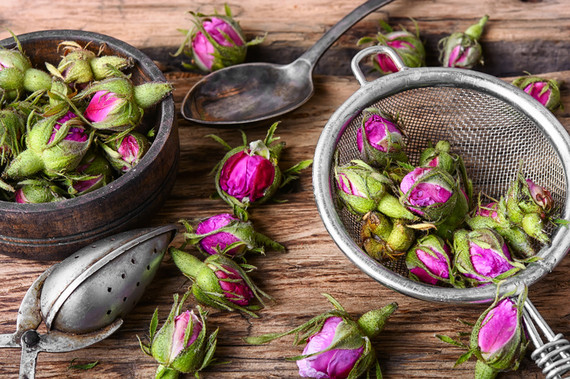 Introduction to Herbal Aphrodisiacs, Rest and Relaxation - Thursday, November 5th