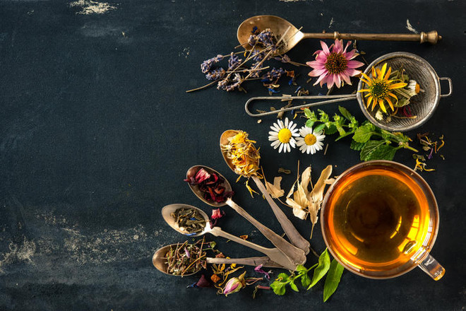 Introduction to Herbalism: Part 1 - Thursday, August 13th 