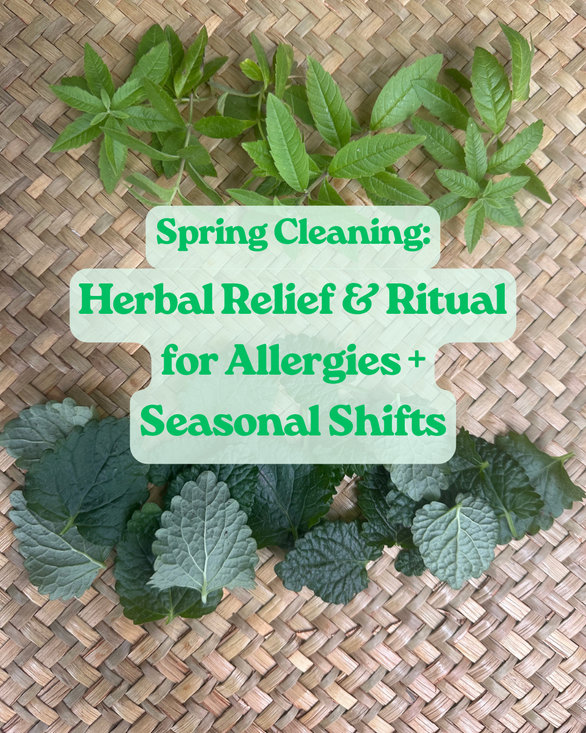 Spring Cleaning: Herbs for Allergy Relief and Seasonal Shifts - Thursday May 7th