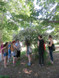 Herbal Day in the Catskills - Saturday, June 27th