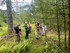 Herbal Day in the Catskills - Saturday, June 27th