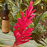 Red Ginger flower essence