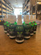 Urban Herbalist Bug, Flea & Tick Spray - 2oz.