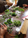 Introduction to Herbalism: Part 2 - Thursday, October 22nd