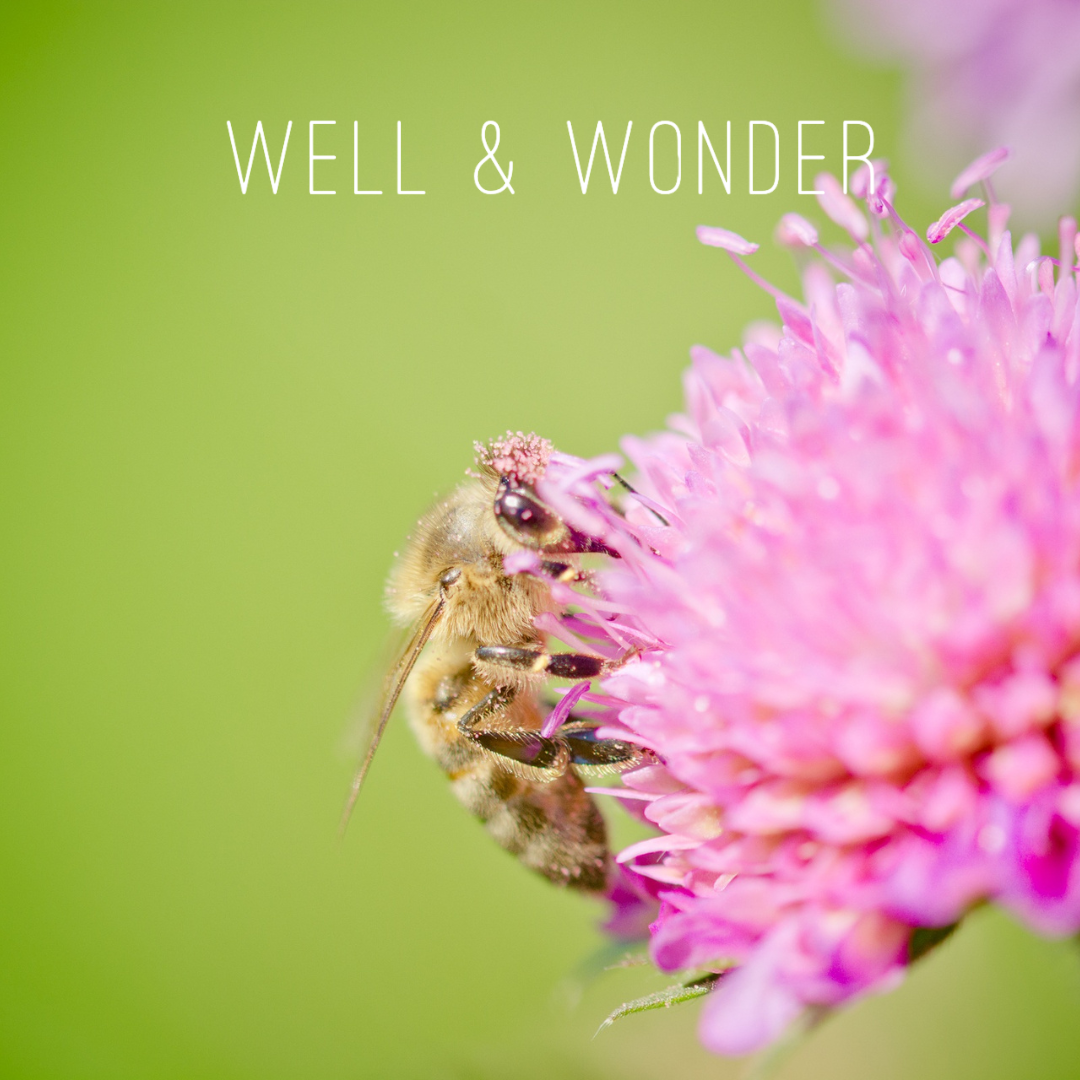 Well & Wonder