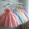 Hailey Rose Organza Dress