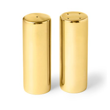 Gold Stainless Steel Salt & Pepper Set (S/2) – Elegant Table Decor