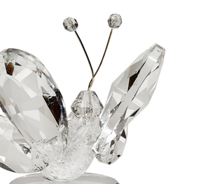 A clear glass butterfly-shaped box, perfect for wedding or bridal shower favors.