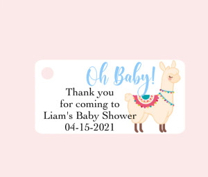 Baby Shower  Favor Tag Thanks