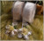 Confetti Flowers Almond Wedding Favors Bomboniere