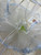 Small Daisy Edge Flower