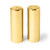 Gold Stainless Steel Salt & Pepper Set (S/2) – Elegant Table Decor
