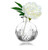 Crystal Bud Vase Elegant Wedding Favors