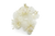 White & Ivory Confetti Flower