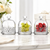 Elegant crystal butter dome set of 3 with cut glass design, styled with grapes and raspberries on a clean white background