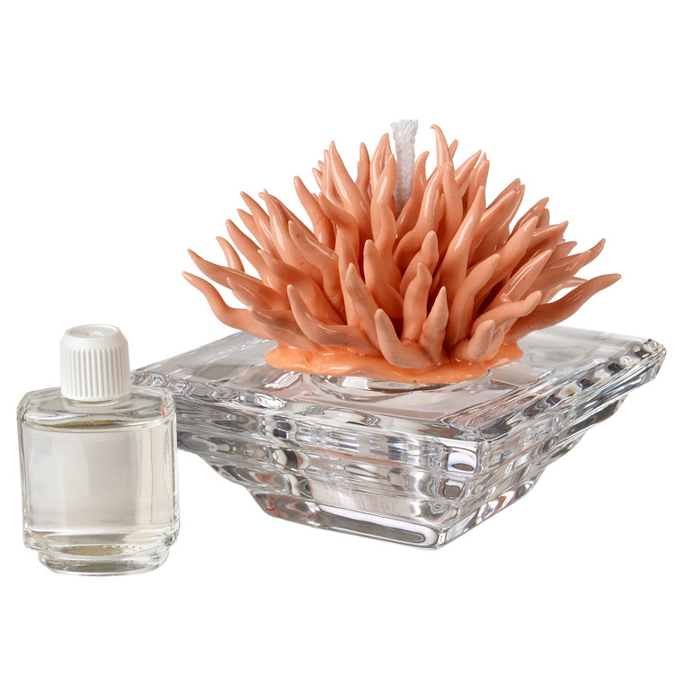 Decorative Crystal Diffuser with Porcelain Coral Top
