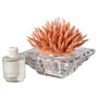 Decorative Crystal Diffuser with Porcelain Coral Top