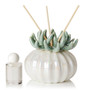 Decorative Porcelain Diffuser Coral Top Teal (single unit)