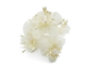 White & Ivory Confetti Flower Wedding Favors Decorations