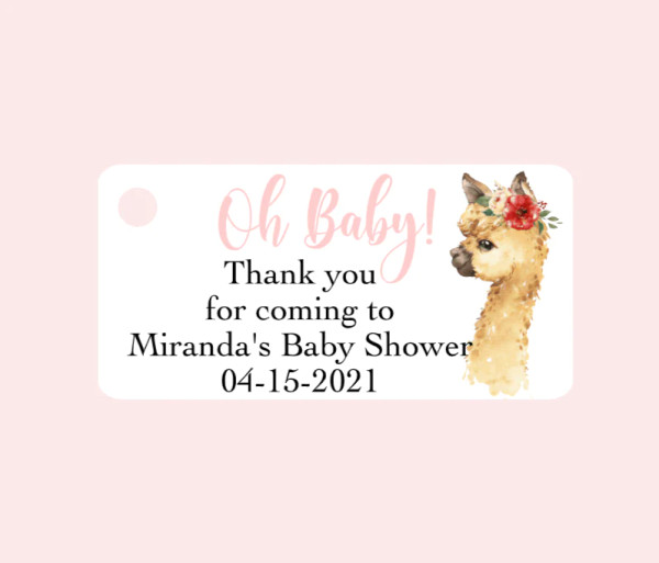 Baby Shower Favor Tags Thank You