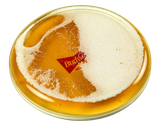 "Beer Effect" Coaster