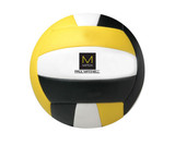 Volleyball Volleyball