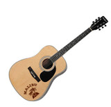 Acoustic Guitar Acoustic Guitar