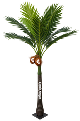 Palm Tree