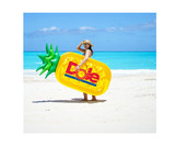 Pineapple Float Pineapple Float