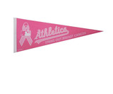 Sports Pennant