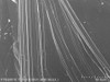 Bi2Se3 Crystal (Bismuth Selenide)