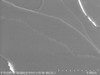 VSe2 Crystal (Vanadium Diselenide)