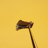 MoSSe Crystal
