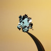MoWS2 Crystal