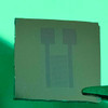 Single-layer Graphene Electrode on SiO2/Si