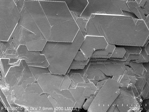 TaSe2 Crystal (Tantalum Delenide)
