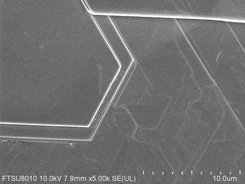 TaSe2 Crystal (Tantalum Delenide)