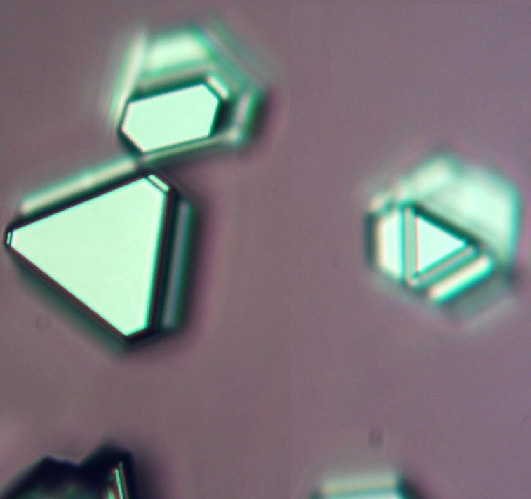 Isolated Bi2Se3 Flakes on SiO2/Si-10mm*10mm