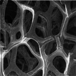 3D Graphene on Nickel Foam