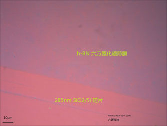 hBN film transferred on SiO2/ Si,  PET, Quartz, Glass, etc.-10mm*10mm