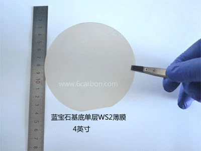 CVD-Grown WS2 film on 4-inch sapphire wafer