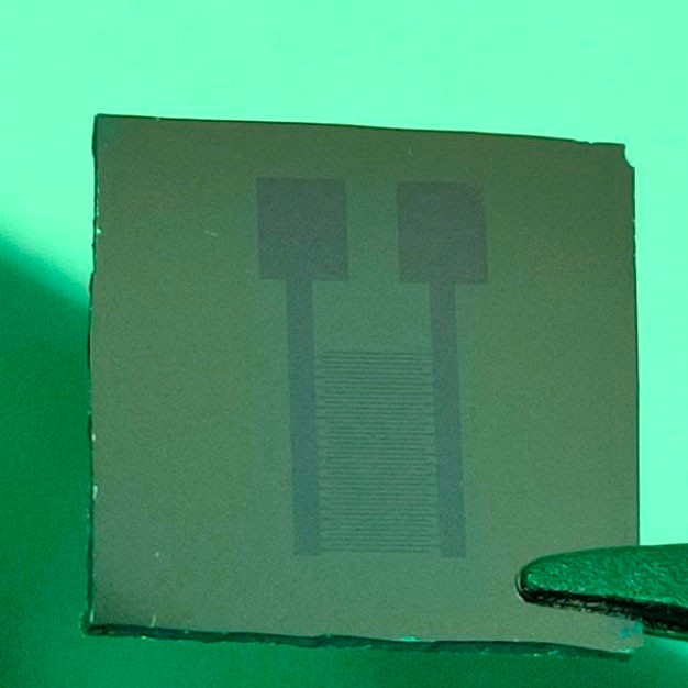 Single-layer Graphene Electrode on SiO2/Si