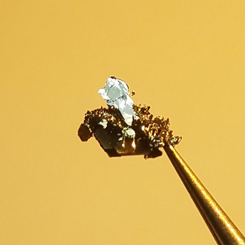 TaS2 Crystal(Tantalum Disulfide)