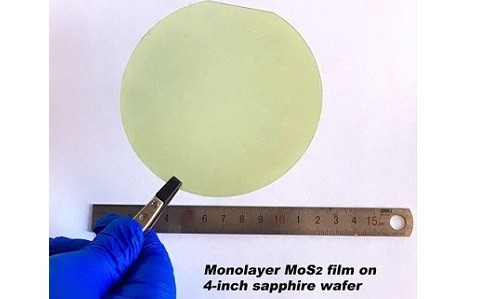 CVD-Grown MoS2 film on 4-inch sapphire wafer
